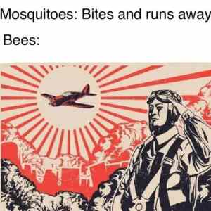 Obrázek 'Suuuummmm'