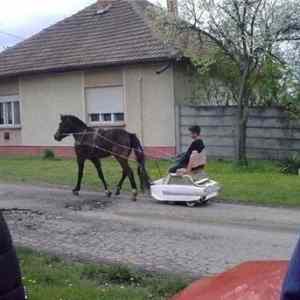 Obrázek 'Sweet Ride'