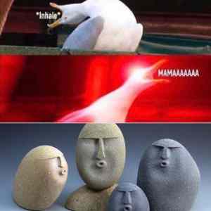 Obrázek 'THE&nbsp;song'