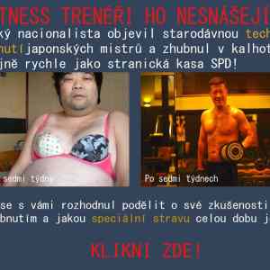 Obrázek 'Tajemstvi fitness dle japonskych mistru'