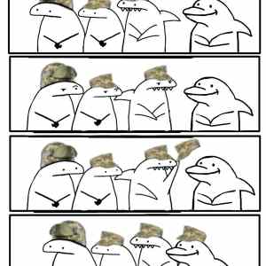 Obrázek 'Tak&nbsp;uz&nbsp;i&nbsp;delfini'