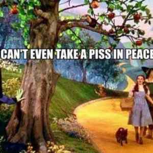 Obrázek 'Take&nbsp;A&nbsp;PISS'