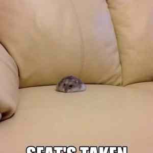 Obrázek 'Taken.&nbsp;&nbsp;'