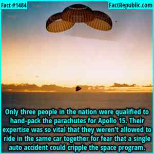 Obrázek 'Taking&nbsp;every&nbsp;precaution'