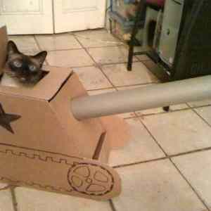 Obrázek 'Tank cat'