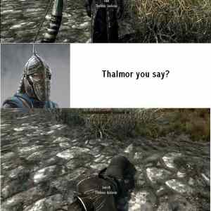 Obrázek 'Thalmor&nbsp;Suck'