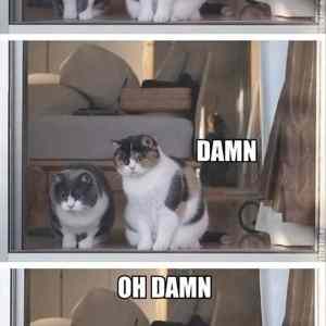 Obrázek 'That&nbsp;Bird'