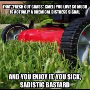 Obrázek 'That Fresh Cut Grass' Obrázek 'That Fresh Cut Grass'