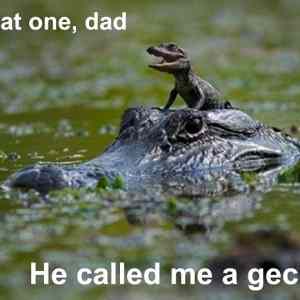 Obrázek 'That one - Dad 03-03-2012'
