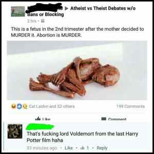 Obrázek 'Thats fucking lord Voldemort'
