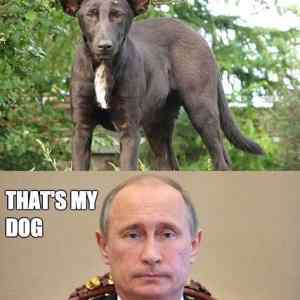 Obrázek 'Thats my dog  '