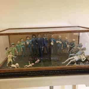 Obrázek 'TheChangingBody&nbsp;'