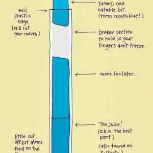 Obrázek 'The Anatomy Of A Jumbo Freezie'