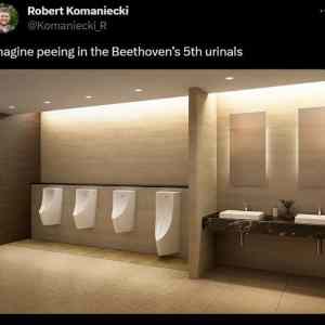 Obrázek 'The Beethoven Ex-pee-rience'