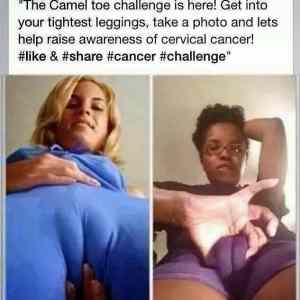 Obrázek 'The Camel Toe Challenge'