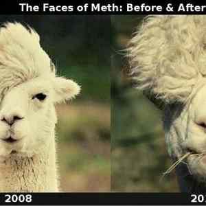 Obrázek 'The Faces of Meth - Before and After'
