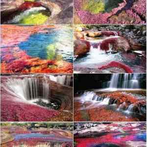Obrázek 'The Most Colorful River in the world - La Macarena - Colombia'