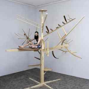 Obrázek 'The Poor Mans Tree House'