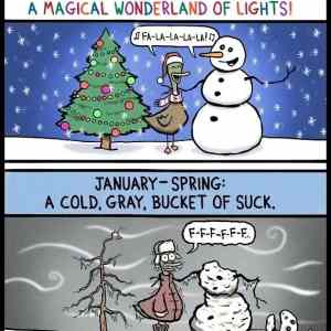 Obrázek 'The Two Stages Of Winter'