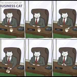 Obrázek 'The adventures of business cat'