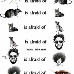 Obrázek 'The circle of life'