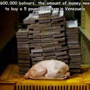 Obrázek 'The cost of a chicken in Venezuela'