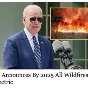 Obrázek 'The eco-illogical president'