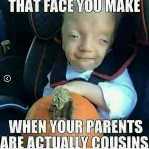 Obrázek 'The face you make'
