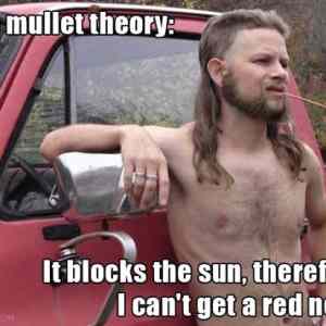 Obrázek 'The mullet theory'