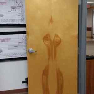 Obrázek 'The wood grain on this door looks like a damp woman ran into it'