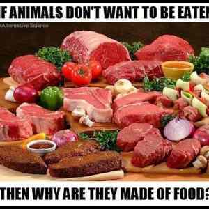 Obrázek 'Then&nbsp;WHY'