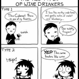 Obrázek 'There Are 2 Types Of Wine Drinkers'