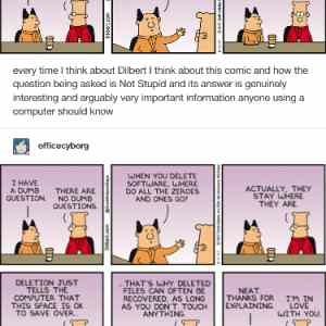 Obrázek 'There&nbsp;are&nbsp;no&nbsp;dumb&nbsp;questions'