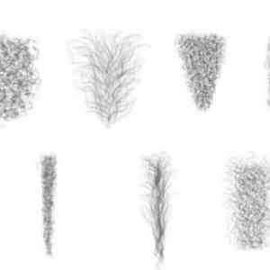 Obrázek 'These-type-of-grass-are-hardly-seen-in-the-public-1720967049851'
