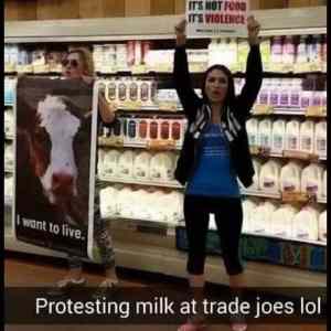 Obrázek 'These&nbsp;Idiots&nbsp;Exist6130'