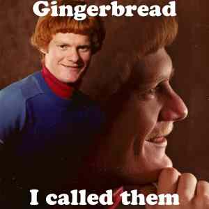 Obrázek 'They called me Gingerbread'