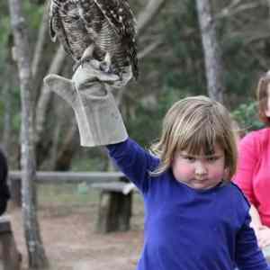 Obrázek 'This&nbsp;Child&nbsp;Is&nbsp;Cooler&nbsp;Than&nbsp;Me'