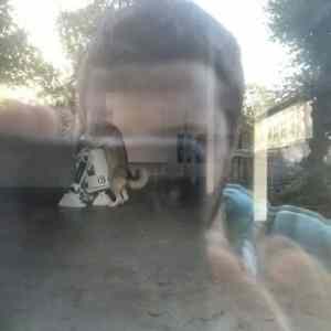 Obrázek 'This Dog5137'