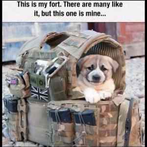 Obrázek 'This&nbsp;Is&nbsp;My&nbsp;Fort&nbsp;&nbsp;&nbsp;'