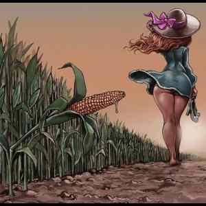 Obrázek 'This corn tastes funny'