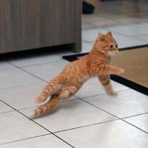 Obrázek 'This is breakdance bitch'
