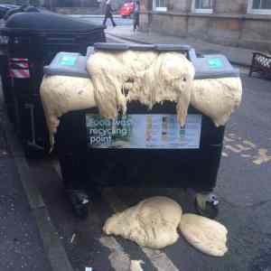 Obrázek 'This is what happens when you leave pizza dough in a bin overnight'