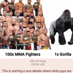 Obrázek 'Throng VS Kong'
