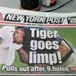 Obrázek 'Tiger&nbsp;Goes&nbsp;Limp'