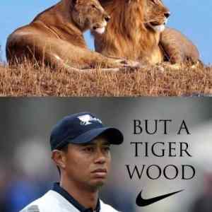 Obrázek 'Tiger Woods 2'