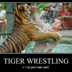 Obrázek 'Tiger Wrestling - 01-06-2012'