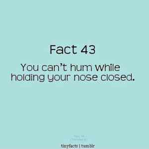 Obrázek 'Tiny Fact'