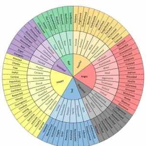 Obrázek 'To-find-the-right-word-The-chart-of-emotions'