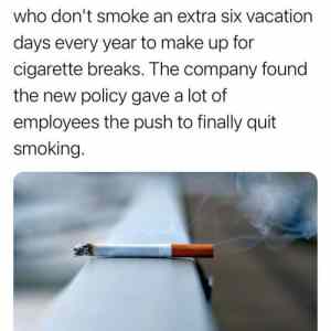 Obrázek 'Tobacco Holiday'