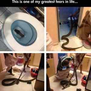 Obrázek 'Toilet Snake'
